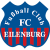 Fussball-Sport-Verein Zwickau e.V.